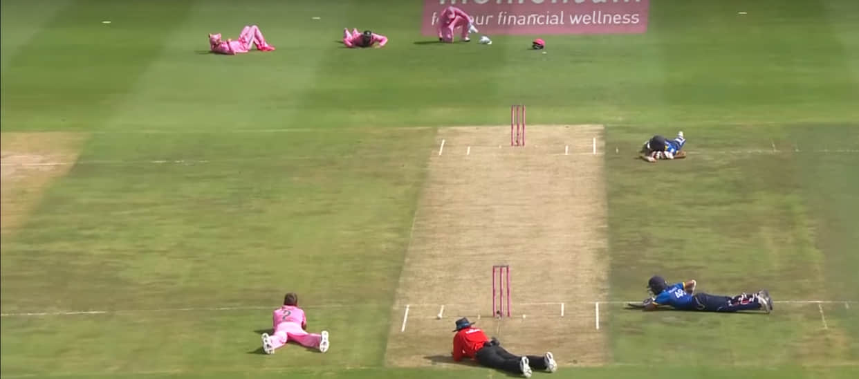 honey bee attacked during south africa vs Srilanka ODI 