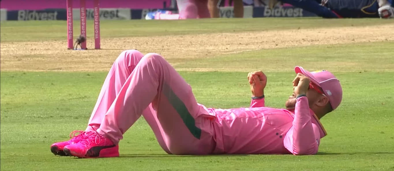 honey bee attacked during south africa vs Srilanka ODI 