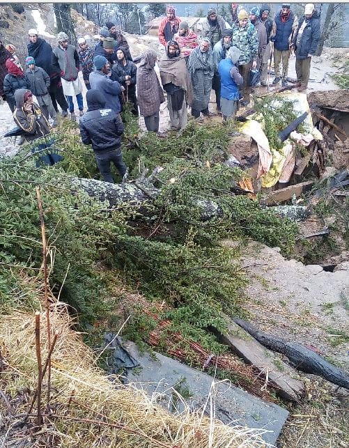 The tree fell on the house, killing teenager