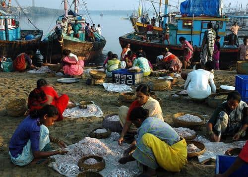 mumbai village Versova turns fishing into Rs 400 crore business
