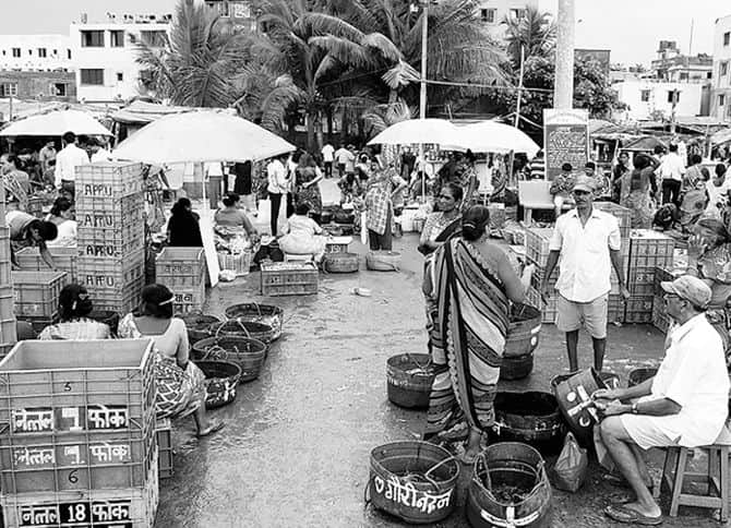 mumbai village Versova turns fishing into Rs 400 crore business