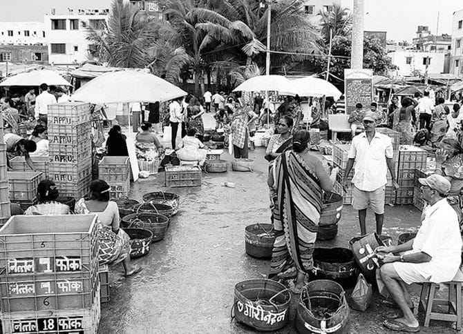 mumbai village Versova turns fishing into Rs 400 crore business