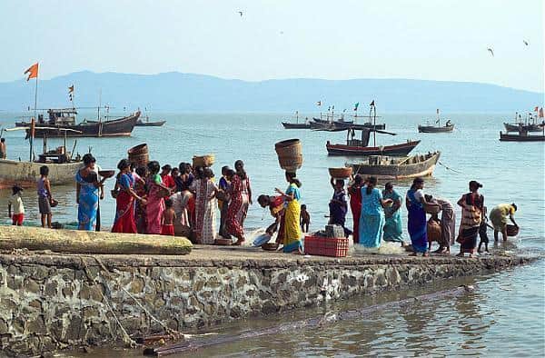 mumbai village Versova turns fishing into Rs 400 crore business