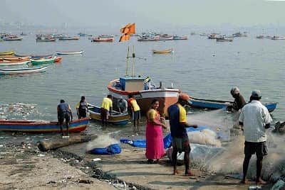 mumbai village Versova turns fishing into Rs 400 crore business