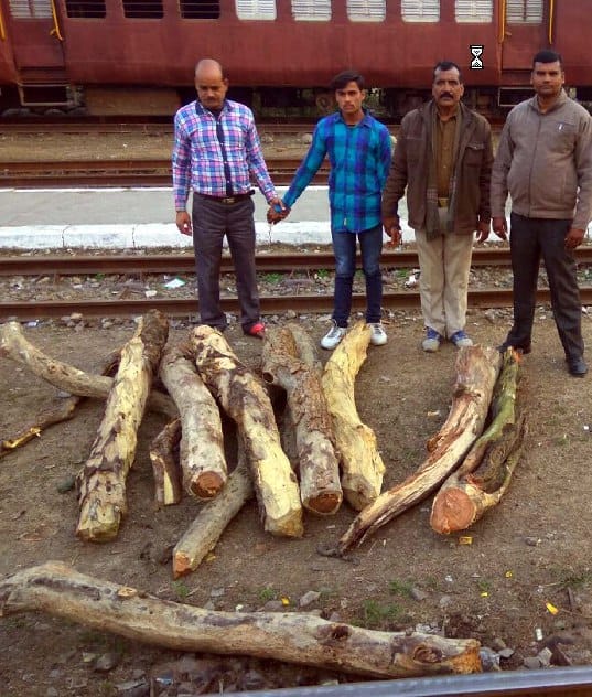 GRP recovered from train Wood, one arrested