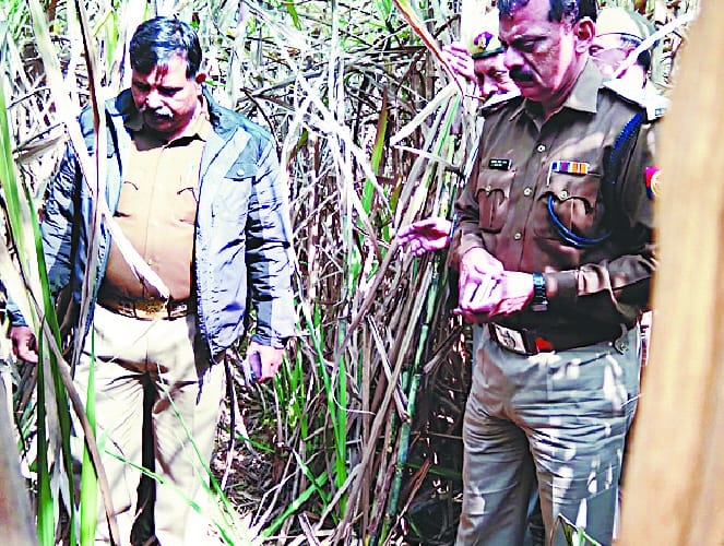 Rape and murder of schoolgirl strangled