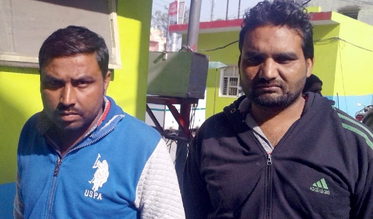 Neat cattle smuggler jailed