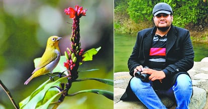 Bird watcher amandeep, Over 300 bird species have seen