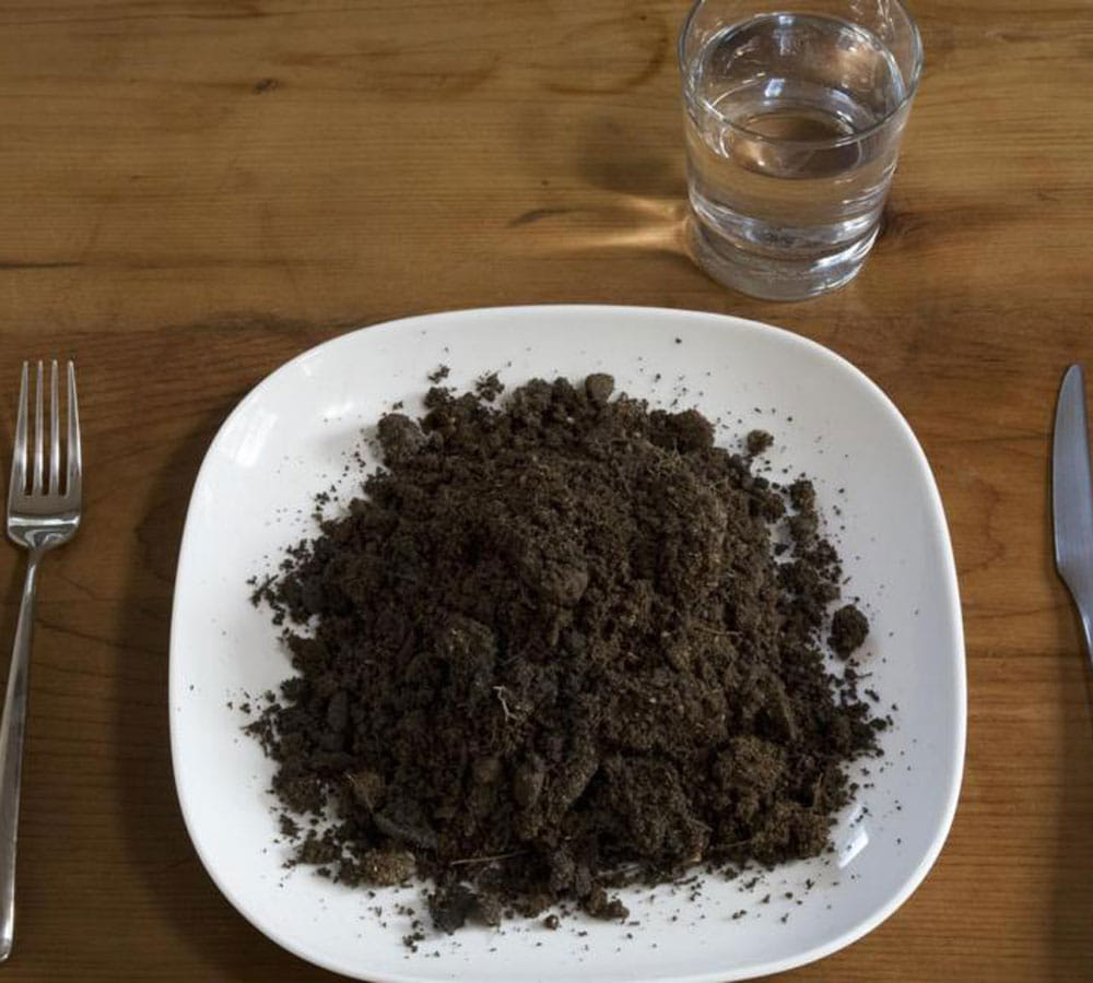 eating soil may lead to stomach infection