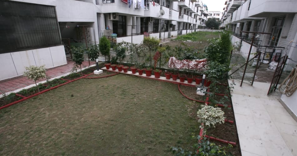 Sharma ji from Chandigarh, who maintain his garden own