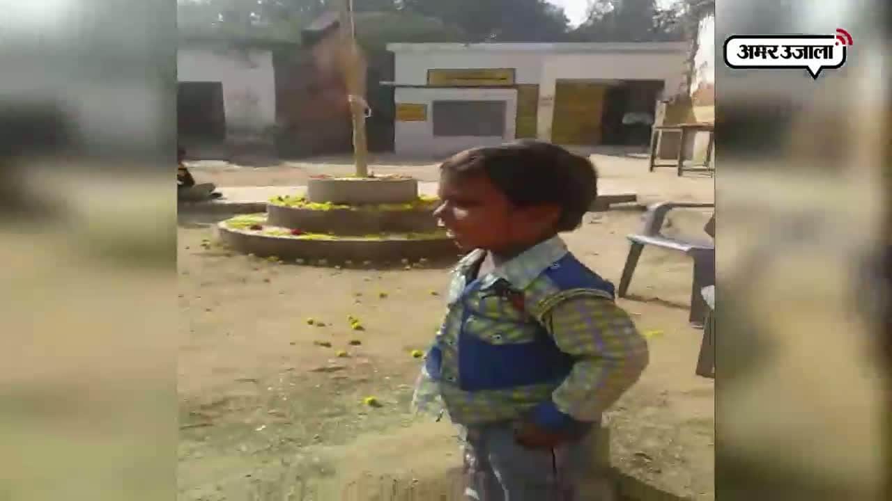 वायरल वीडियो