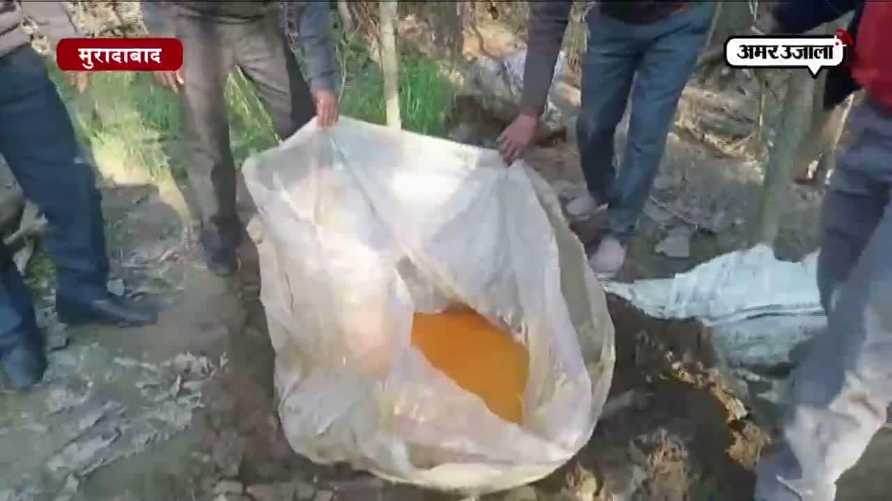 देखिए, जमीन के 3 फुट नीचे से कैसे निकली शराब 