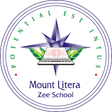 class 10th student bruitly beaten by class 11th student in mount litra zee schhol