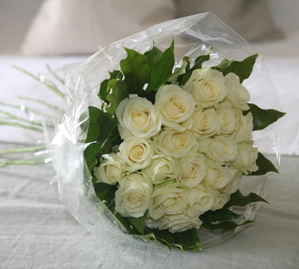 different rose colors and meaning
