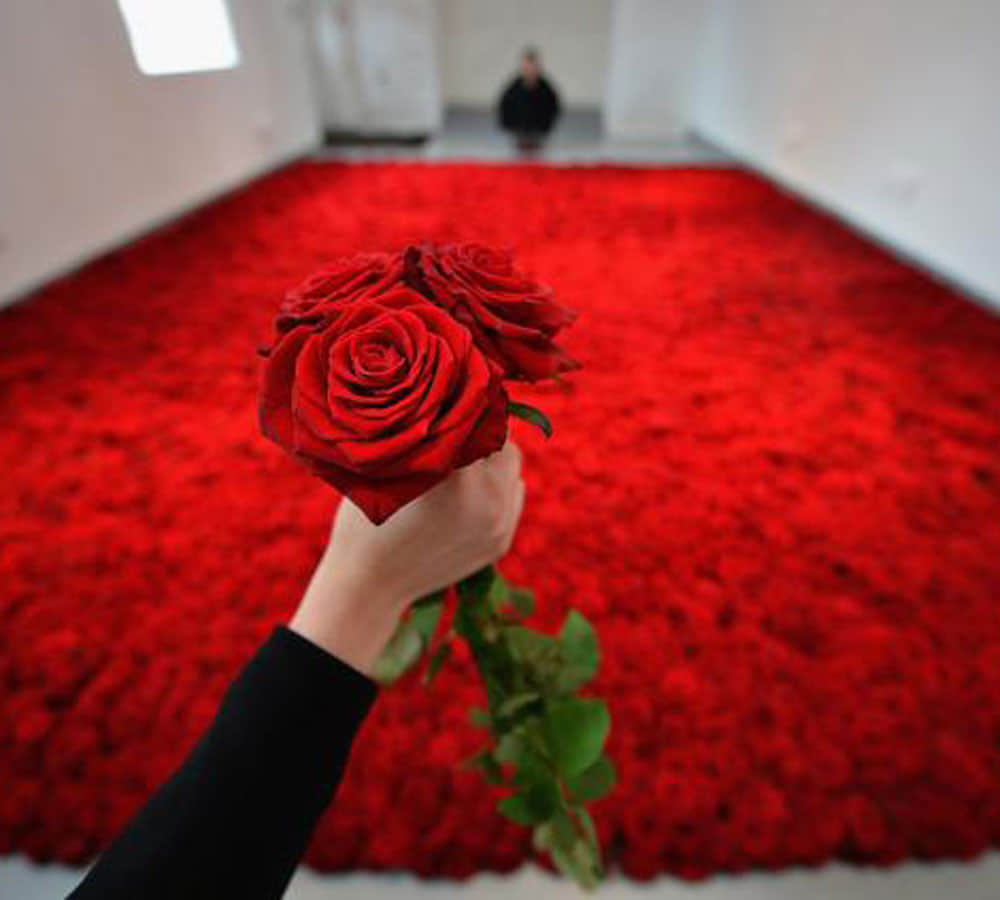 different rose colors and meaning