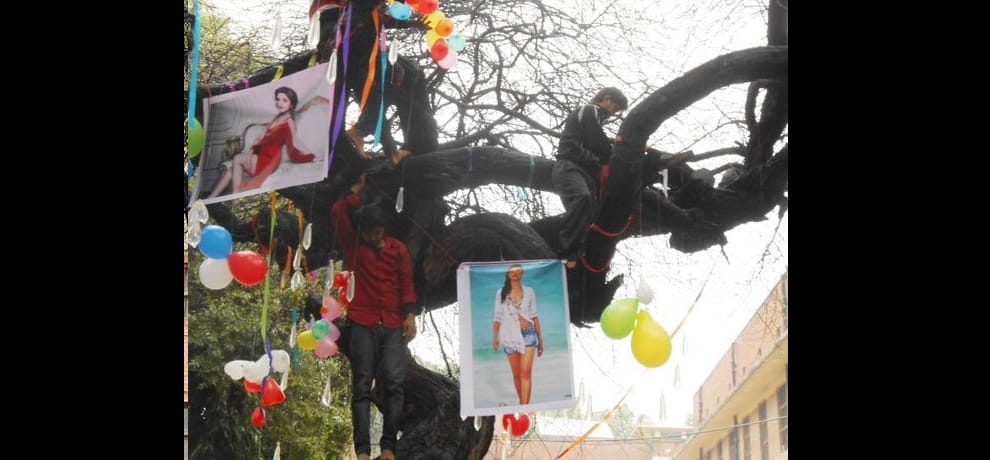 how to get a girlfriend by worshipping a tree