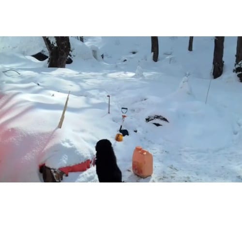 India first Igloo in Manali Himachal Pradesh