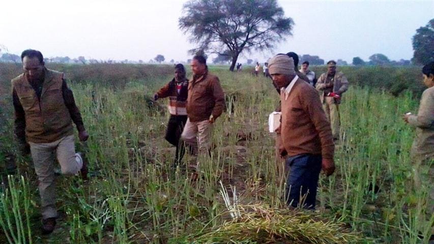 As the skeleton was abducted teenager