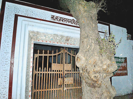 275 school will be filled with electricity before election