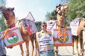 camel rally for awareness