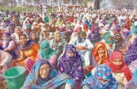 Official chip, Khap leaders, sweet things, reservation, comment, jind