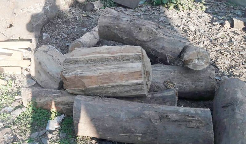 theft wood recovered