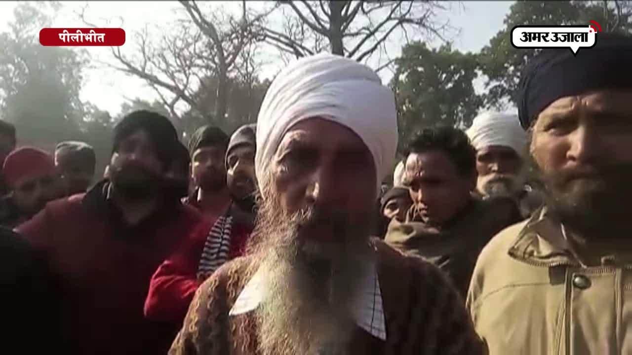 बाघ का आतंक