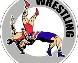 wresling championship, gagandeep kaur, gold, hansraj woman college, jalandhar, punjab