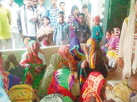 Cattle eat the crop, the farmer's shock death