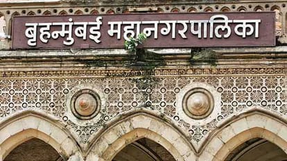 owner of 690 crore assets contest BMC election