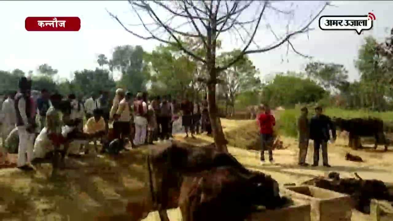 बकरियों की मौत