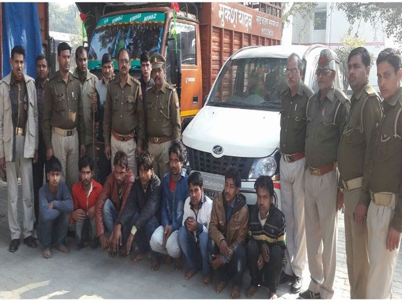 During the encounter, was finally picked up eight cow smuggler