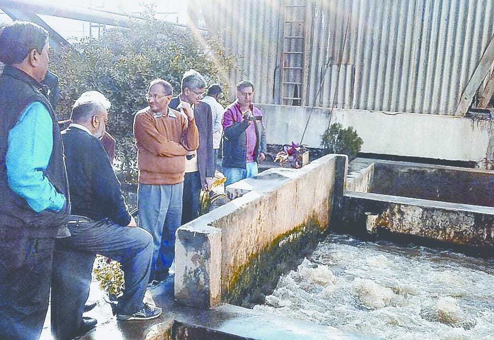 Sample has been taken from five factories of GIDA