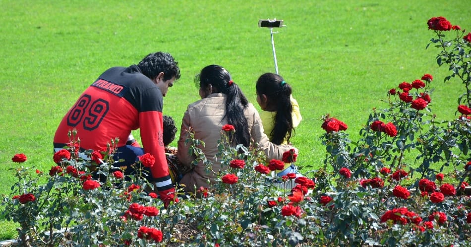 punjab university chandigarh rose festival ready to start, musical programme will be in evening