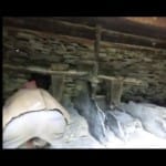 The concept of Traditional water mill changed 