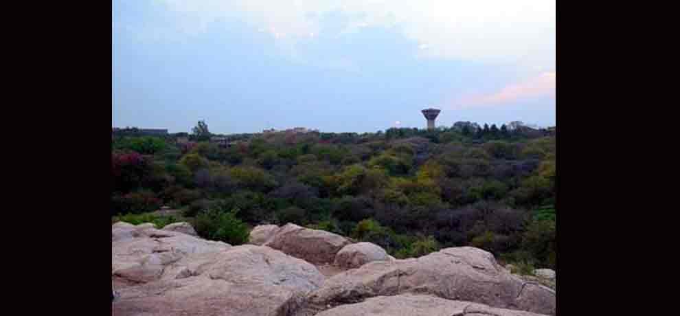 Valentine special: 25 special places that are heaven for lovers in delhi 