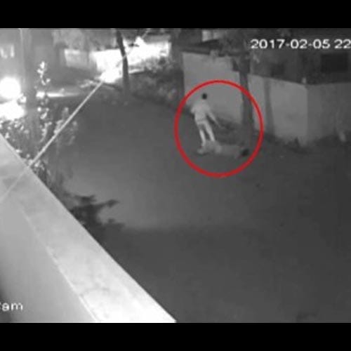 student leader killed in UP gorakhpur