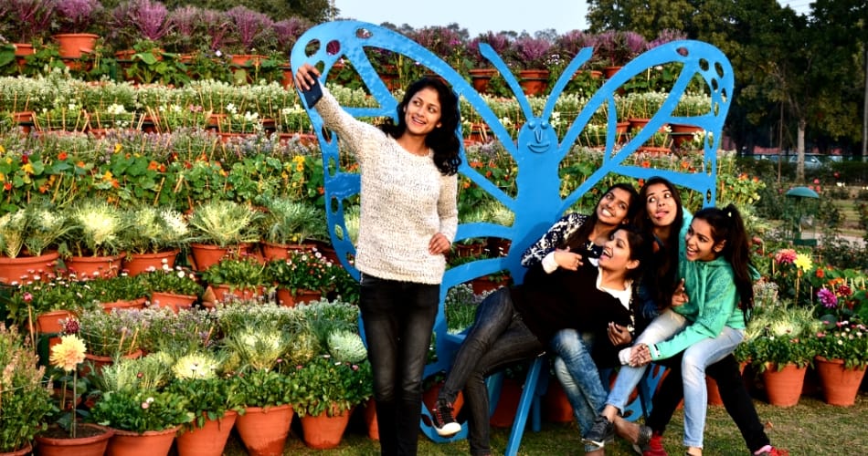 punjab university chandigarh rose festival, musical programme