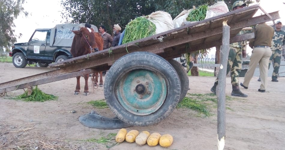 Know why border farmers have become a headache for BSF