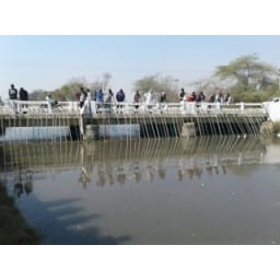 fatehabad, bypass bridge,  police, harayana