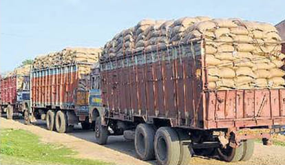 govt grain scam at unnao