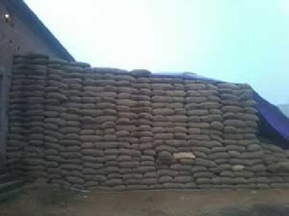 govt grain scam at unnao