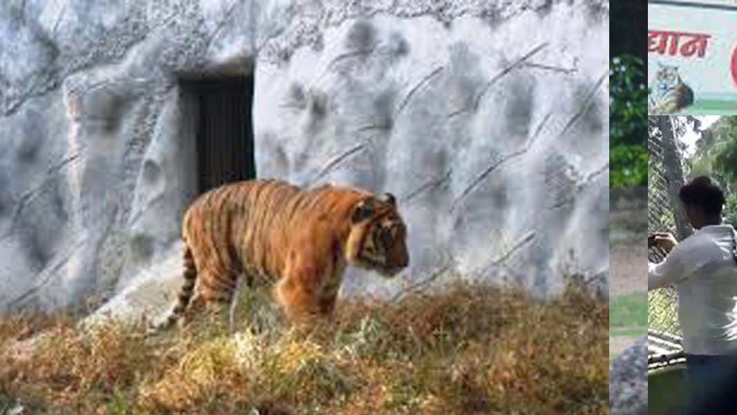animals of kanpur zoo are suffering from problem