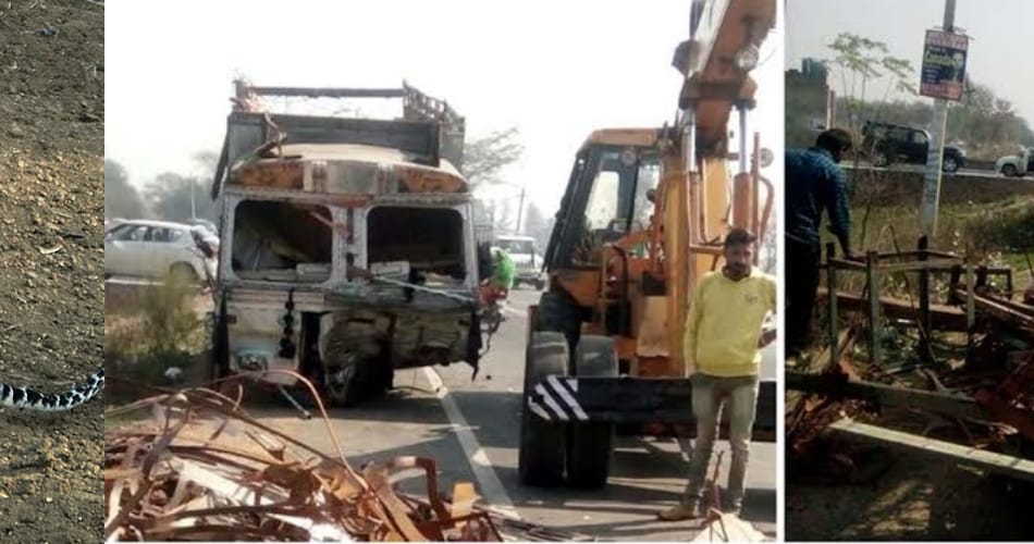 two boys of delhi killed in road accident at mohali