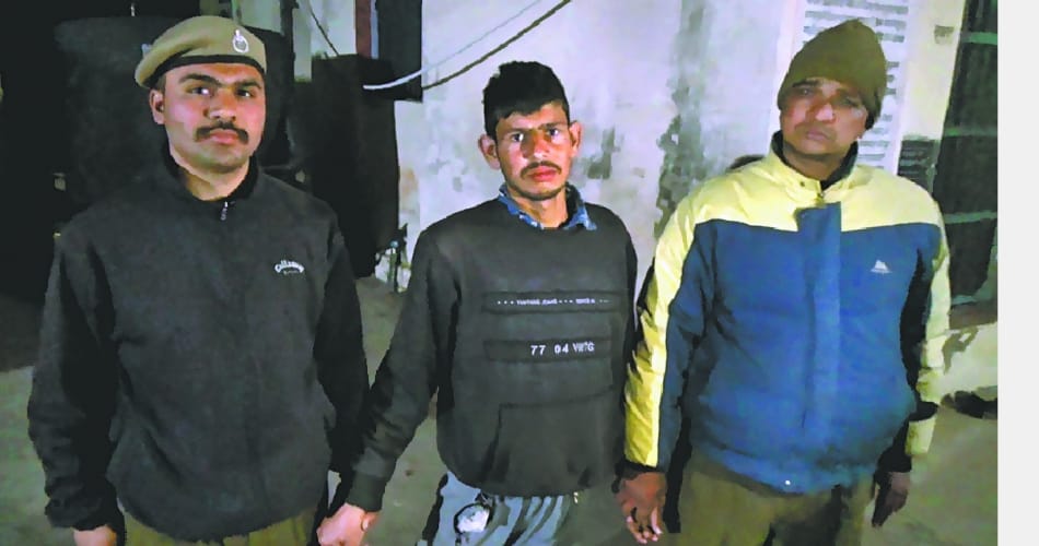 Murder in pinjaur, panchkula crime, city news