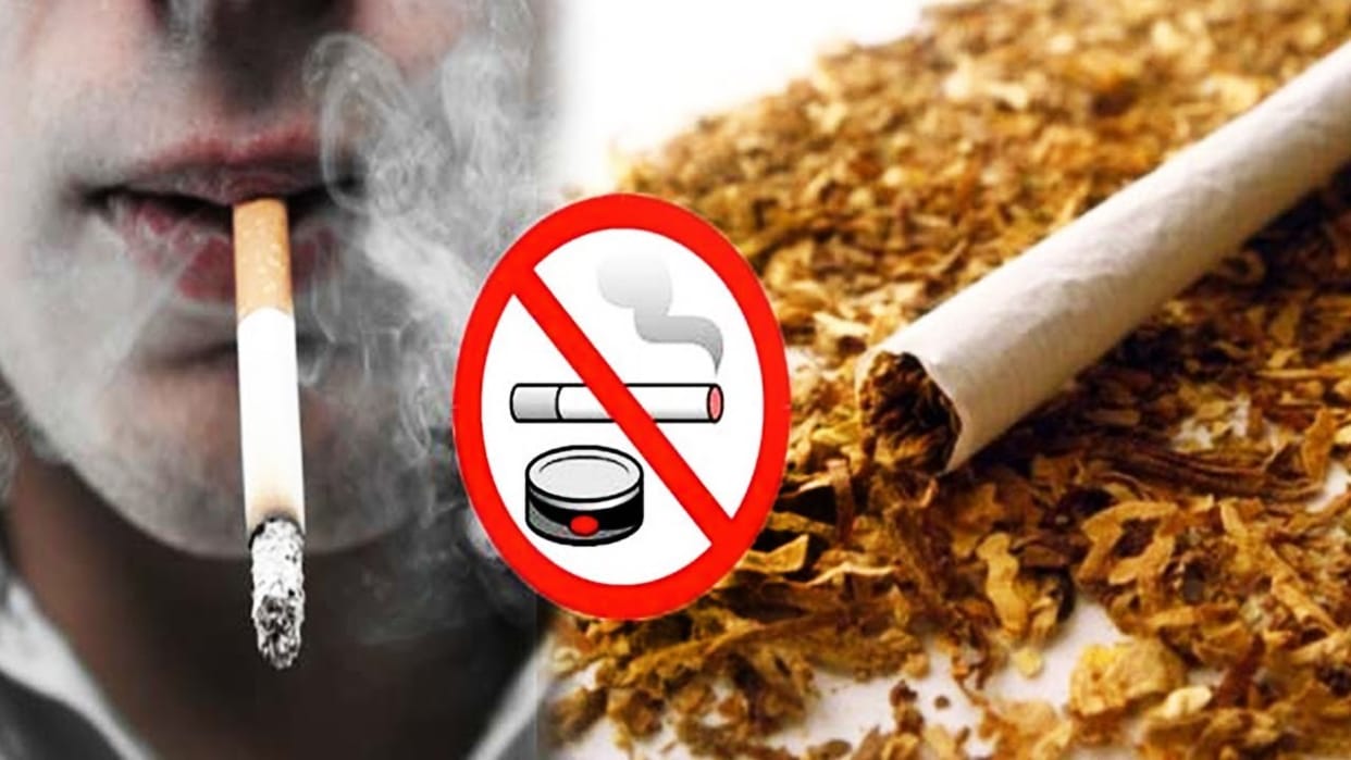 Controlled smoking in the collectorate