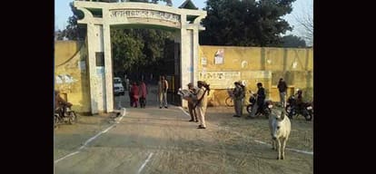 up election phase one and voting started in noida ghaziabad