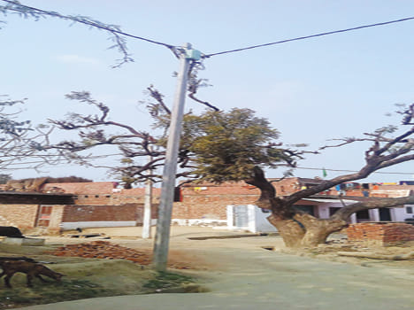 A month in the village of Kalyanpur dark