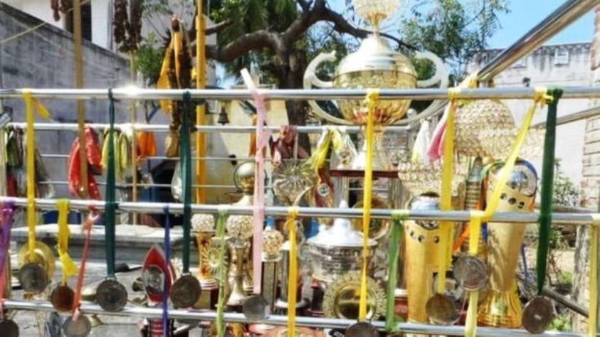 Jallikattu: It is battle of Racial supremacy not bull fight