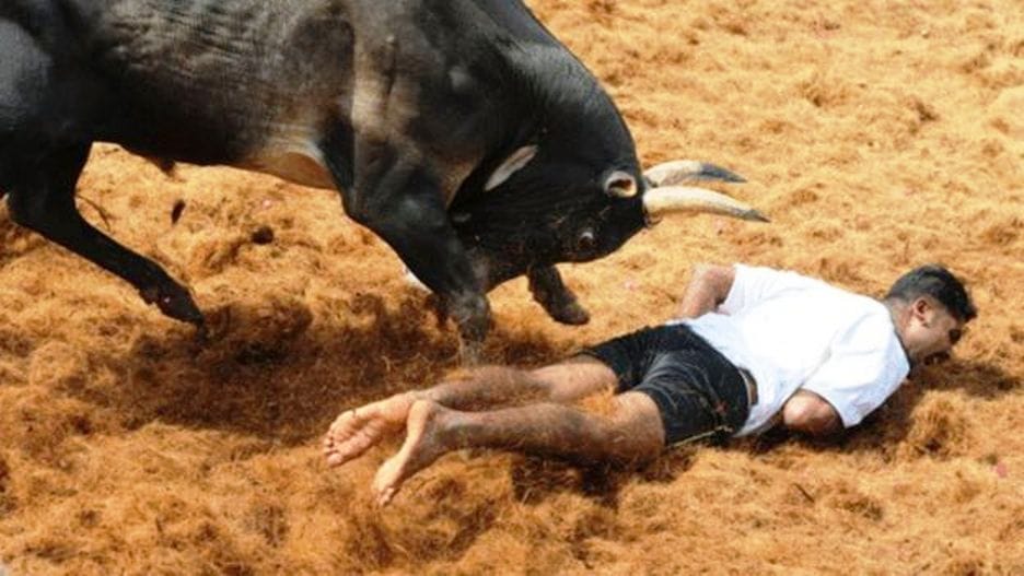 Jallikattu Tamil Nadu goverment said misconception that sport or entertainment cannot have cultural value
